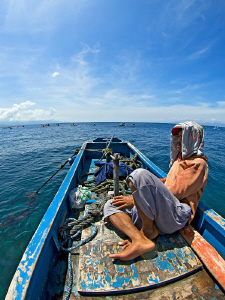 "Siesta"

Between two dives at Pescador Island. In the ... by Henry Jager 